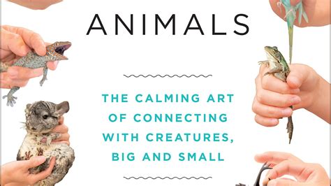 How To Hold Animals By Toshimitsu Matsuhashi Books Hachette Australia