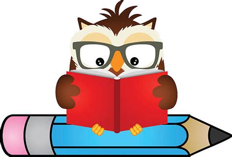 Cute Owl Reading A Book Img Mayonegg