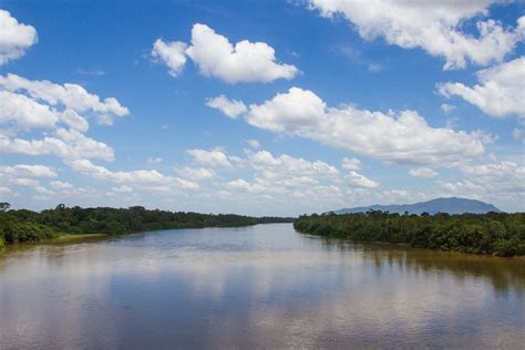 ¿cuál Es El Río Más Largo Del Mundo El Amazonas O El Nilo Octaedro