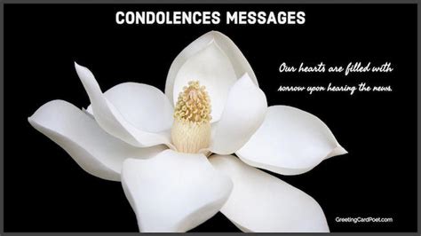 Buddhist Quotes Condolence Calming Quotes