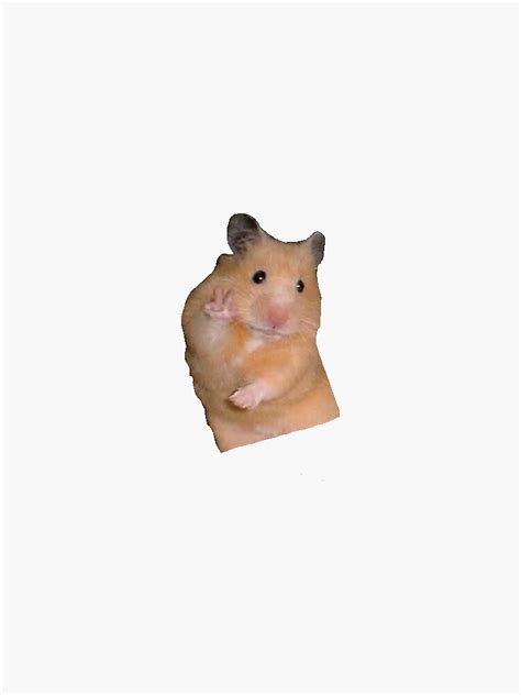 Hamster Meme Sticker By Shelbylickliter Redbubble