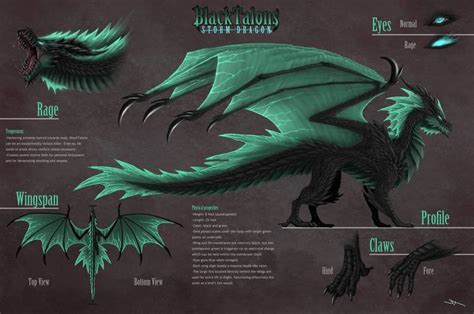 Black Talons Reference Sheet Dragon Facts Fantasy Dragon Mythical