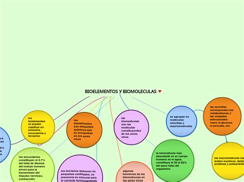 Fase 2 Bioelementos Y Biomoleculas Mind Map Porn Sex Picture