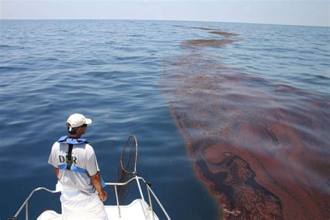 Are Fujairah Oil Spills Caused By Tankers Illegally Cleaning Their