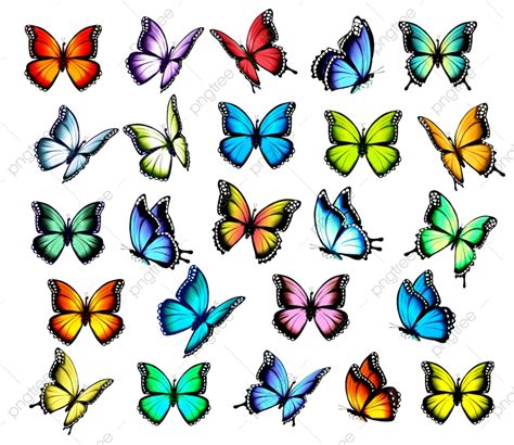 Group Butterfly Art PNG