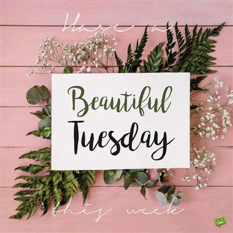 Happy Tuesday Famous Quotes About Tuesday