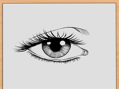 How To Draw A Human Eye Vrogue Co