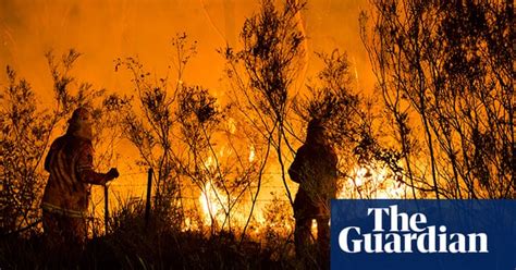 bushfires rage across new south wales for seventh day in pictures australia news the guardian