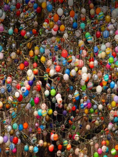 Easter Tree Bing Wallpaper Download