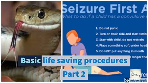Basic Life Saving Procedures Part 2 Snake Bites And Seizures Youtube