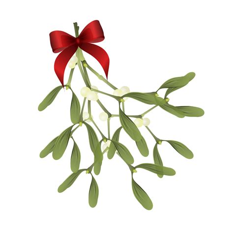 Is Mistletoe Only For Kissing In Christmas Time Hairwise Plant Based