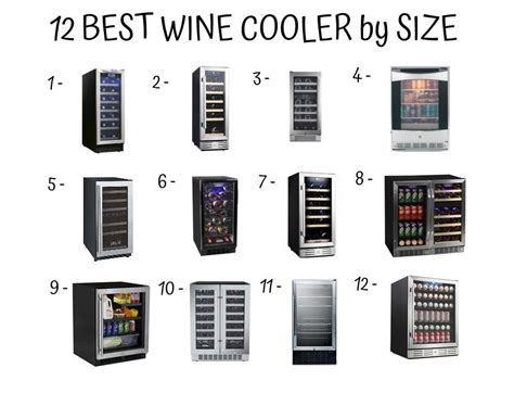 wine cooler choose zone dual sizes bottle