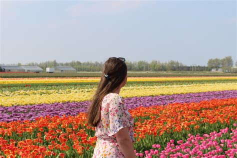 Everything You Need To Know Before Visiting The Tulip Fields In South