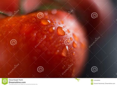 Water Drops On Red Tomato Close Up Stock Photo Image