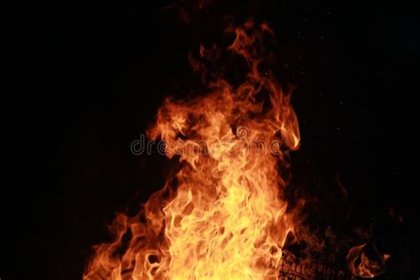 Realistic Effect Of Isolated Fire On A Black Background Stock Image Image Of Yellow Quail