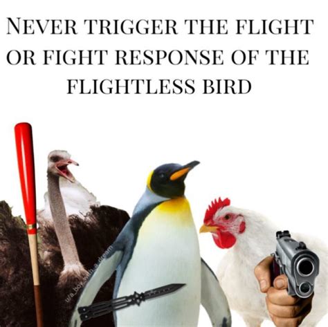 Birds R Dankmemes Hand Pointing A Gun Know Your Meme