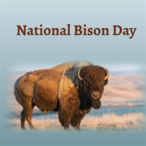 National Bison Day Template Postermywall