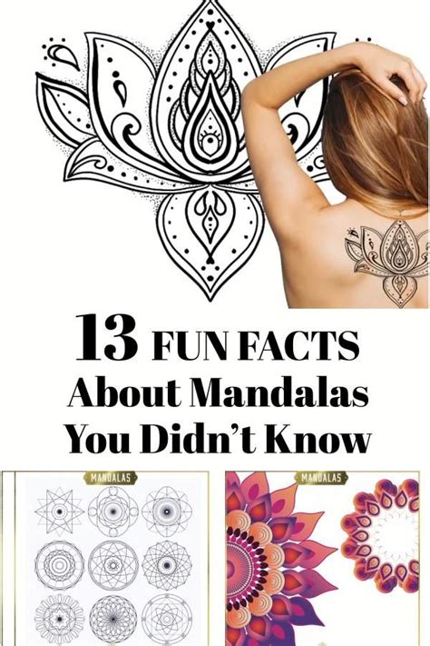 13 Fun Facts About Mandalas You Didnt Know Video Mandala Drawing