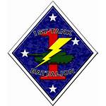 Battalion 1st Tank Insignia Marine Military Division