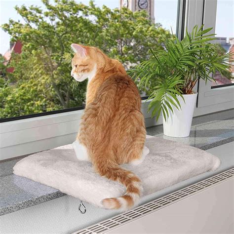 25 Of The Best Cat Beds Review And Buying Guide Petmoneysaver