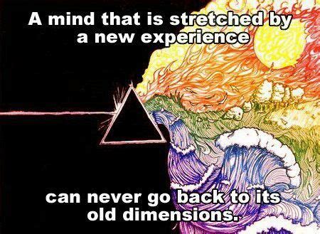 You are an explorer, and you represent our species, and the greatest good you can do is. Never going back | Mindfulness, Floyd, Psychedelic