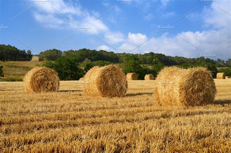 Hay Bales On Field High Quality Nature Stock Photos Creative Market