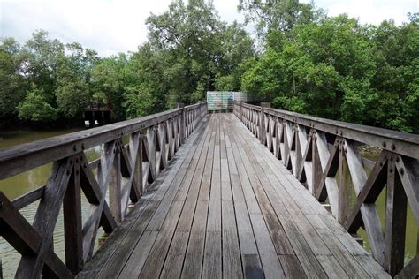 The area's unusually large bird population was first noticed in 1986, when a call was made to. Sungei Buloh Wetland Reserve Map Singapore - Entrance Fee ...