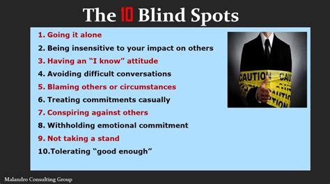 The 10 Blind Spots That Undermine Your Success Malandro