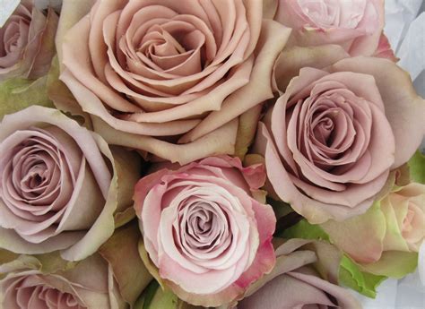 Amnesia And Faith Roses In A Wedding Bouquet Amnesia Rose Garden