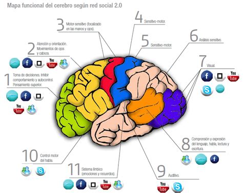 Mapa Funcional Del Cerebro Seg N Red Social Teaching Materials