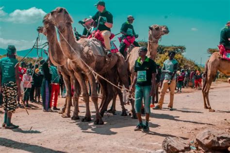 Top Cultural Festivals In Kenya Travel Dudes