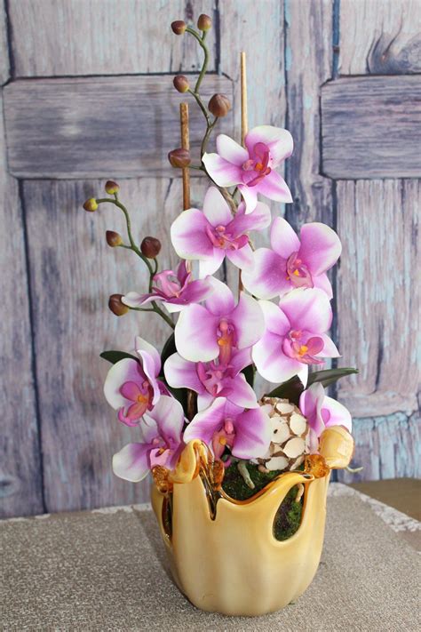 Pin On Silk Orchids