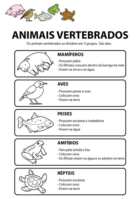 Animais Vertebrados E Invertebrados Atividade 2 Fichas E Atividades