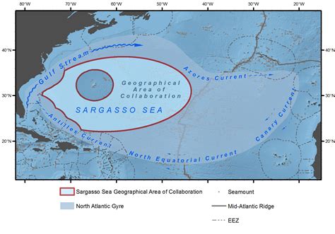 The Importance Of Exploring The Sargasso Sea ‘spiritual And Aesthetic Delight As Well As