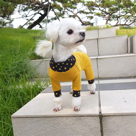 강아지 고양이 옷 신축성 올인원 슬림도트 옐로우 아이디어스