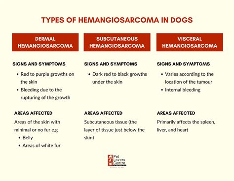 Hemangiosarcoma In Dogs Types And Treatment Vet Insights