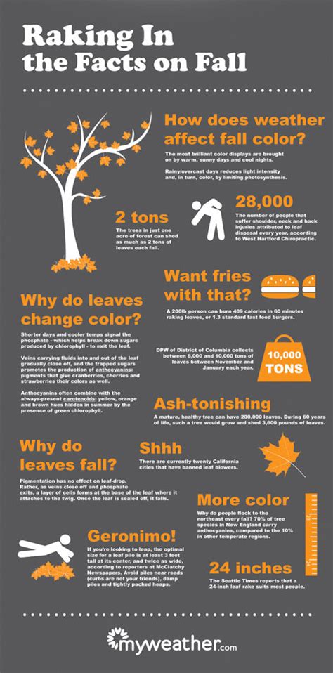 Fascinating Fall Facts