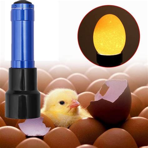 Buy 1pcs Colors Home Feeding Flashlight Incubation Equipment Led Eggtester At Affordable Prices