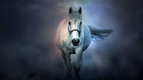 White Horse 4k 8k Wallpapers Hd Wallpapers Id 28867