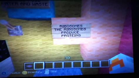 We did not find results for: Minecraft Animal Cell - YouTube