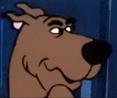 What Is A Meme Scooby Doo Memes Scooby Doo Images Sha