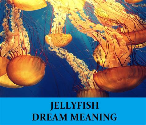 Jellyfish Dream Meaning Top 12 Dreams About Jellyfish Dream Meaning Net