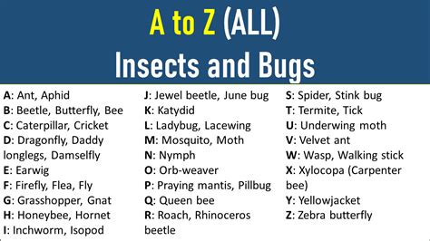 A To Z Insects And Bugs Names All Type Bugs And Insects Names Engdic