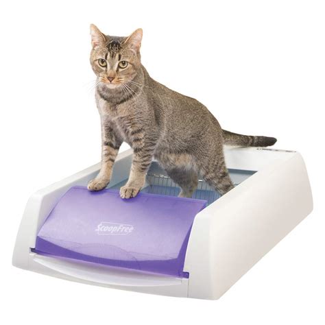 Buy Petsafe Scoopfree Original Self Cleaning Cat Litter Box Automatic
