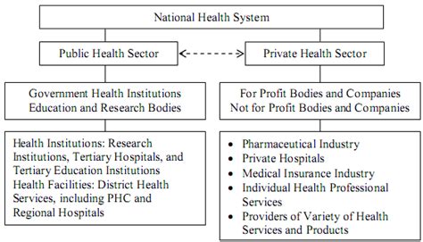 Macro Organization Of The National Health System Republic Of South
