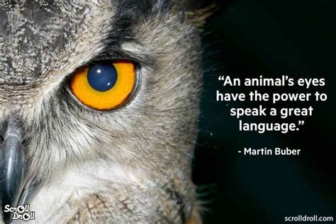 These Quotes From Famous People Will Encourage You To Love Animals