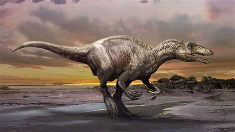 Divulgaron El Hallazgo Del Dinosaurio Patagónico Murusraptor