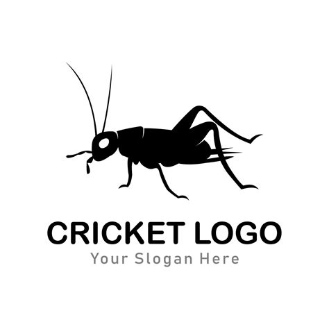 Cricket Insect Logo 9489097 Vector Art At Vecteezy