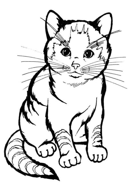 20 Nice Printable Cats Coloring Pages For Kids 1001 Coloring Book
