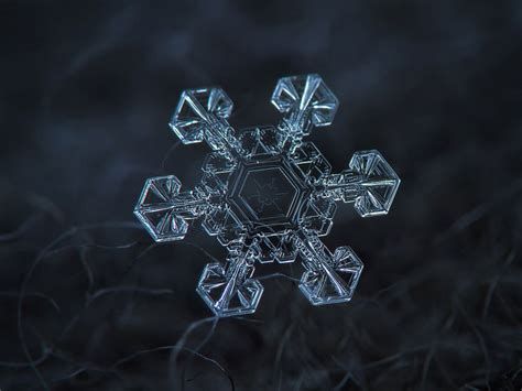 How To Take Macro Snowflakes Photography Under 50 Customized Lens